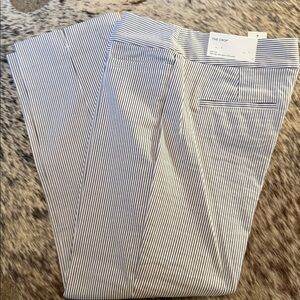 Seersucker Striped Blue and White Pants